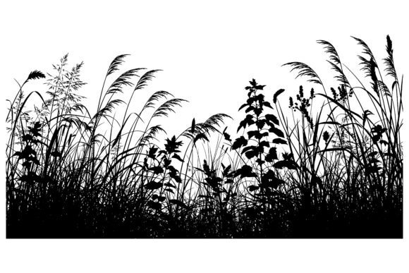 Tall Grass and Plants Against: A Creative Asset Guide