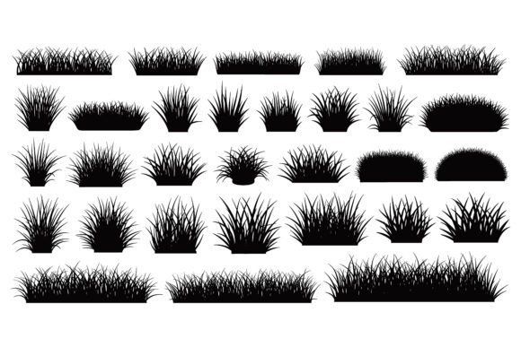 Various Grass Types and Shapes Set: A Designer's Visual Toolkit
